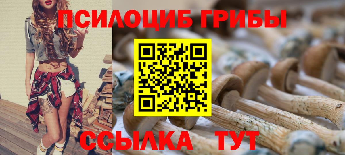 Казань  Псилоцибиновые грибы Magic Shrooms  где купить наркоту  Вход с VPN 